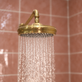 Domed Shower Head – Unlacquered Brass