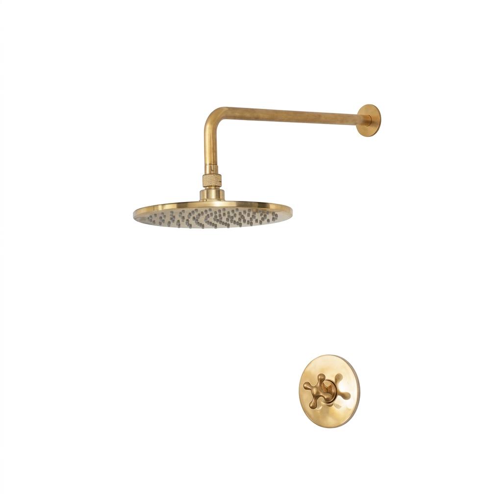 Alabama Unlacquered Brass Single Function Shower Mixer Valve