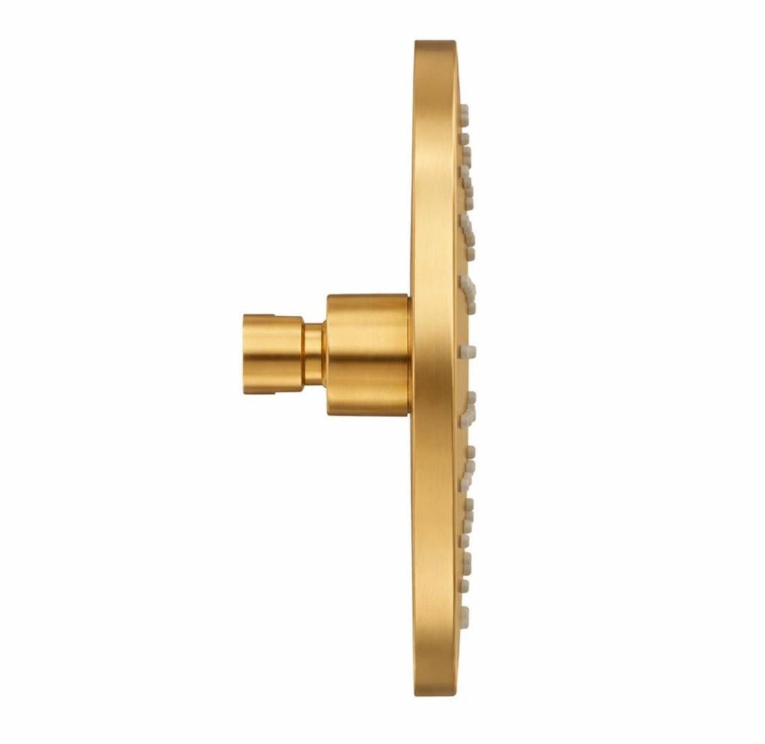Unlacquered Brass Rainfall Shower Head
